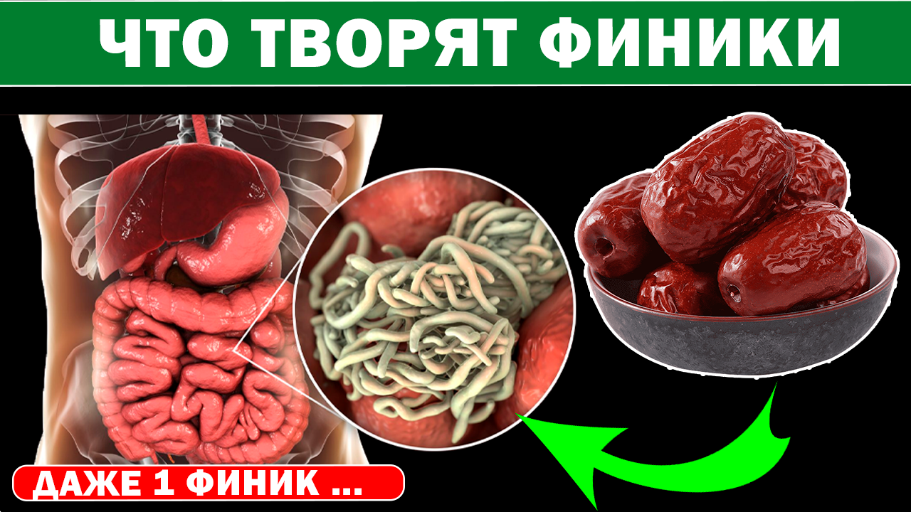 Многие едят ФИНИКИ, и даже не знают о пользе и вреде фиников ! В чем Тайна КОСТОЧКИ финика? смотреть онлайн