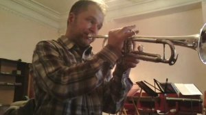 Мелодия из к.ф. "Долгая дорога в дюнах". Р. Паулс. Соло на трубе.