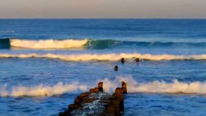 Вот ещё один год пролетел...