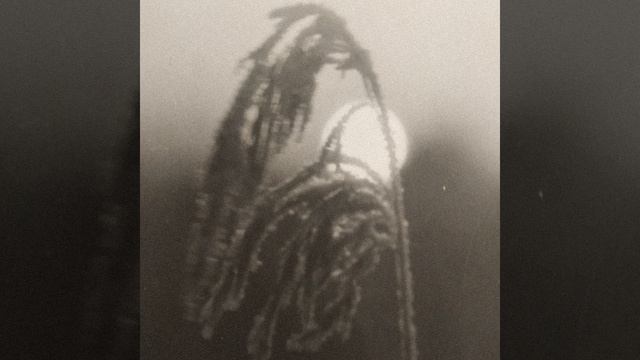 спи крепко смотреть онлайн