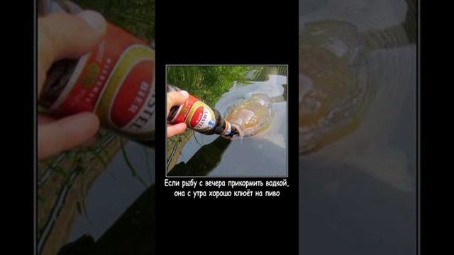 рыбалка-рыбалочка)