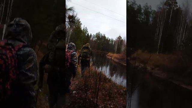 Поход выходного дня вдоль реки