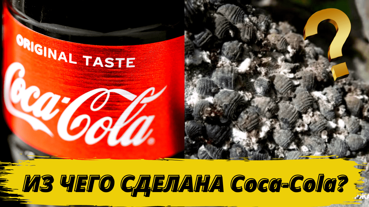 Из чего сделана ???? ???? ? Секрет ???? ???? раскрыт!