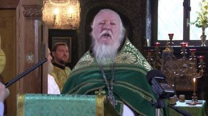 Каждый зачатый ребёнок должен быть рождён. Прот. Дмитрий Смирнов