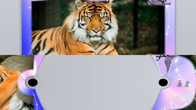 12 животных китайского гороскопа Урок 4 Тигр смотреть онлайн