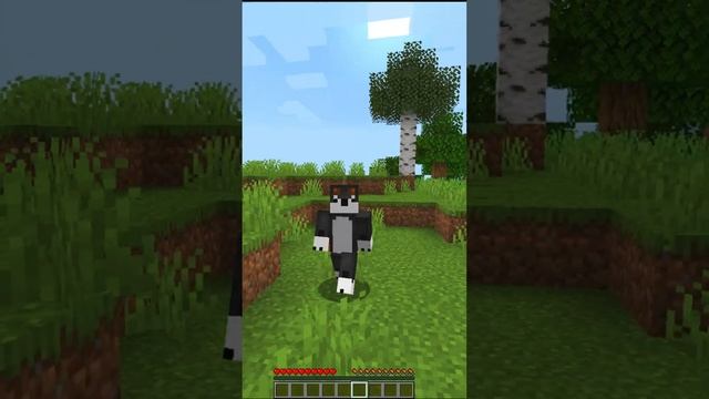 МАЙНКРАФТ НО ЕСЛИ ВЫ ПОСТАВИТЕ ЛАЙК И ПОДПИШИТЕСЬ, ТО ВИДЕО ЗАКОНЧИТСЯ #shorts #minecraft #майнкраф смотреть онлайн