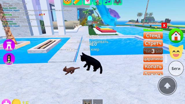 играю в котят!!