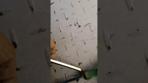 HARTING. Разборка разъёма.