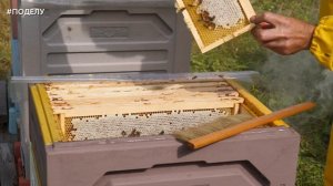 ПЧЕЛОВОД/ФИЛИППЕНКО/ВАЛЕРИЙ/ ИВАНОВИЧ🐝🔥