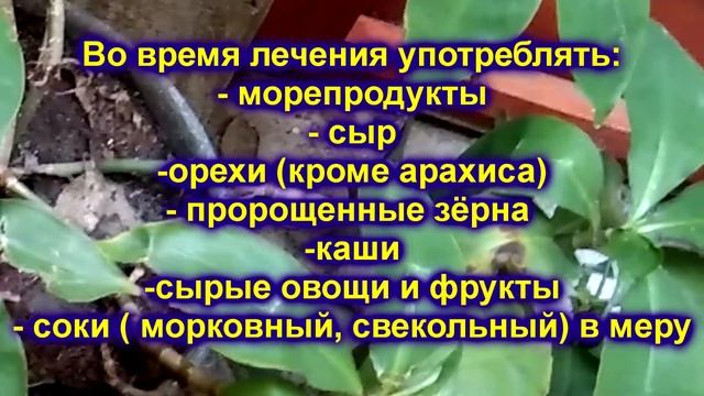 Когда Препараты из Золотого Уса Для Внутреннего Употребления Дадут Хороший Положительный Эффект.