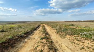 3 Астраханская степь.Природный пейзаж.Апрель 2023