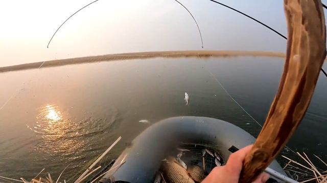 рыбалка на паук подъёмник Вот это сазан 8.200