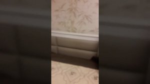 Видео-отзыв о кровати МебельГрад Элана