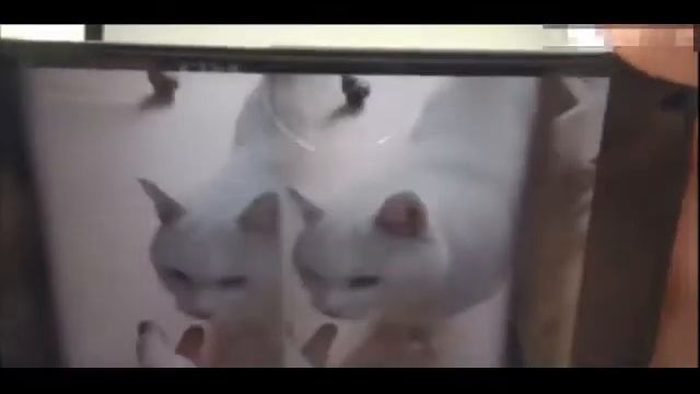 15 крутых и безумных вещей с AliExpress! SAMSUNG GALAXY X НА АЛИЭКСПРЕС! смотреть онлайн