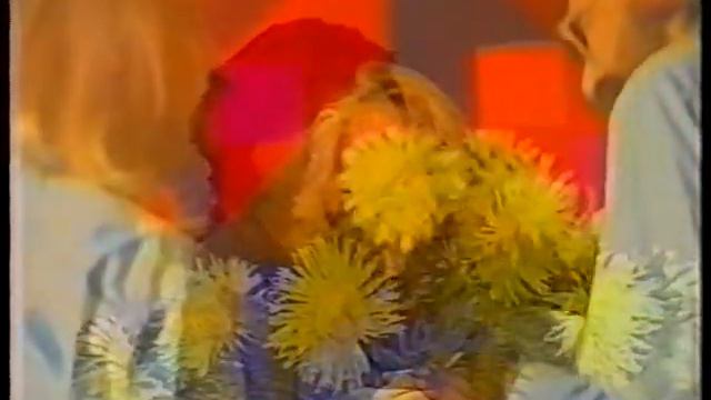 Onu Bella ja Peeter Volkonski laulatus смотреть онлайн