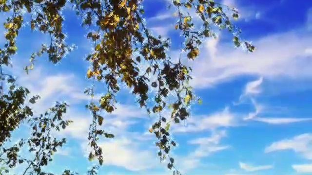 гиф# доброго# осеннего# утра# смотреть онлайн