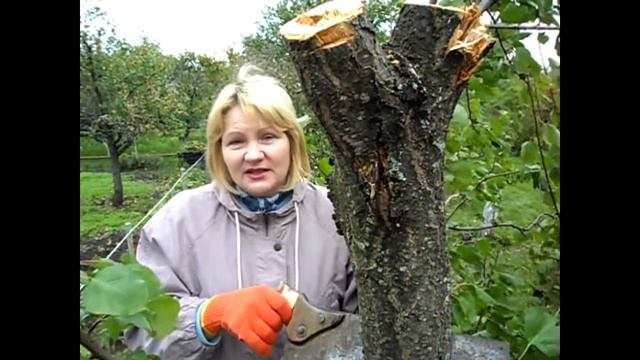 Поездка на дачу в конце сентября 2х1. Альтернатива физическим упражнениям на коврике смотреть онлайн