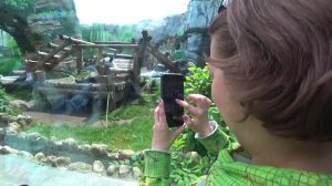 Московский Зоопарк | В Мире Животных| Прогулка по зоопарку | Москва | Июнь | 2023