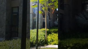 2018, проход к пляжу из отеля Pullman Sanya Yalong Bay через Hilton