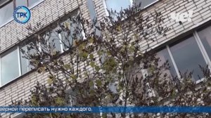 Выпуск новостей от 29.10.21