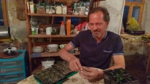 Земляника Барон Солемахер из семян