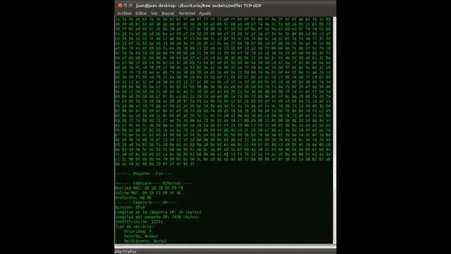 Sniffer en C con raw socket Parte 3 смотреть онлайн