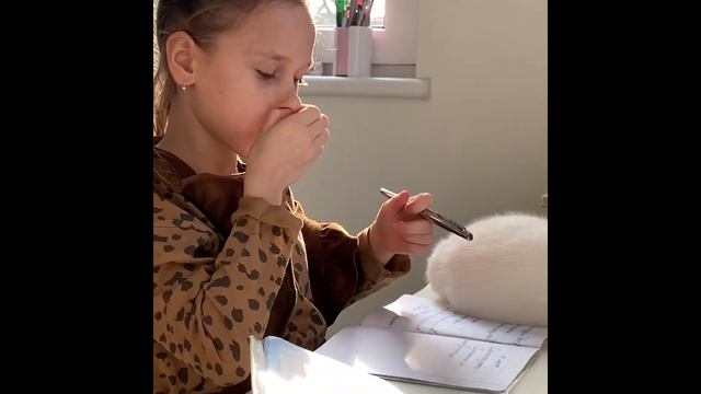 Кот АМУР - ЗВЕЗДА ЮТУБА ? / MARGOLANDIA / #коты #приколы смотреть онлайн