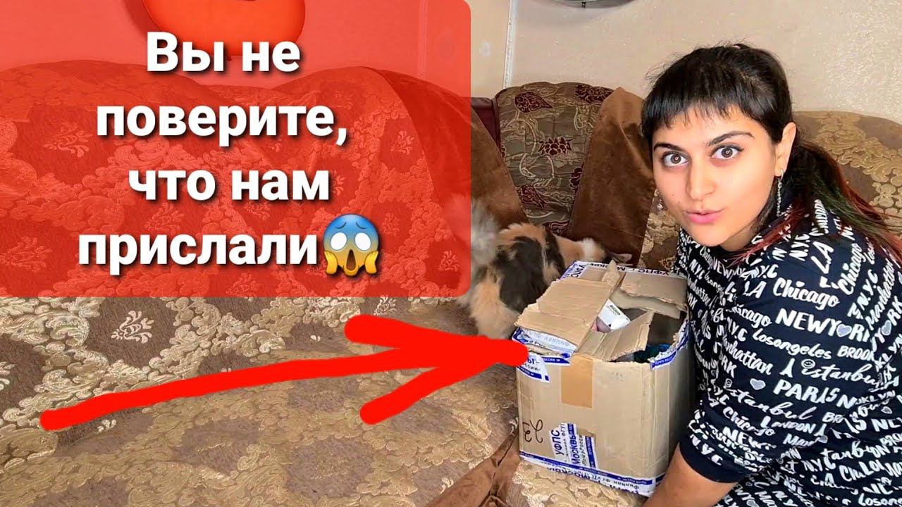 Распаковка посылок У кошек теперь есть домикОбзор на моих почти всех хвостиков смотреть онлайн