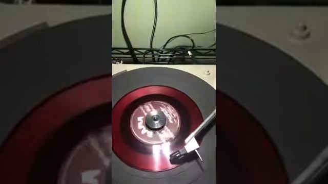 Golden Sun Polka смотреть онлайн