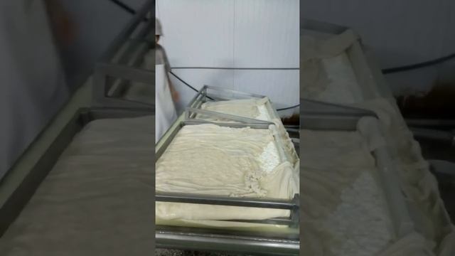 Сырное производство сулугуни и кашкавала