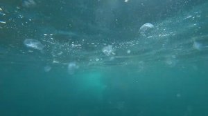 Прыжок в воду (Крым)