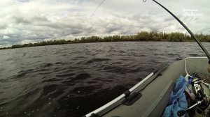 Окунь на спиннинг в июне с лодки. Ловля на воблер летом