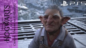 Hogwarts Legacy / Хогвартс Наследие. Квест: Что-то на Гоббледуке на Playstation 5