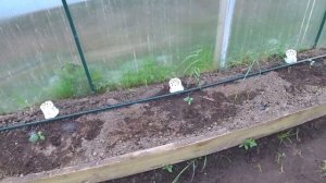 Автоматический полив грядок в теплице своими руками из ПНД трубы. Обзор