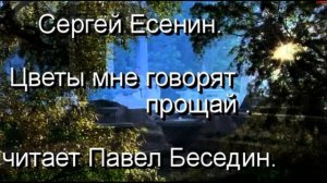 Цветы мне говорят прощай — Сергей Есенин — читает Павел Беседин