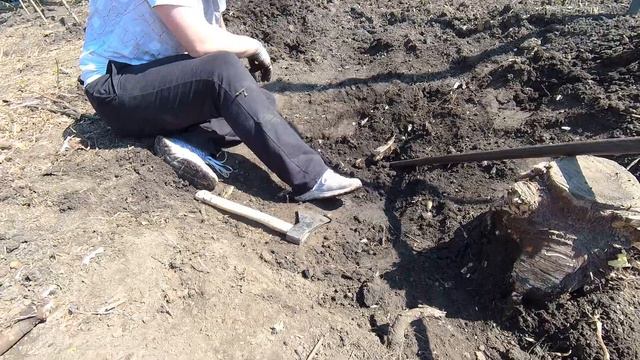 Дворец-35. Через пни к грядкам смотреть онлайн