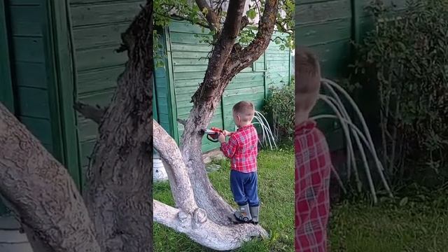 У папы растет помощник / child with chainsaw