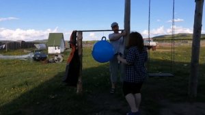 Жизнь в деревне. Как избавиться от слепней, ловушка для слепней своими руками. Черенкуем жимолость