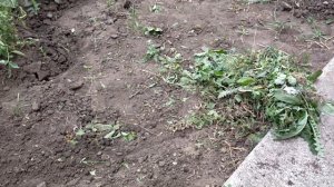 Мои три сотки земли.