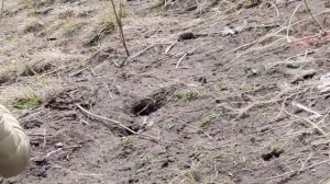 Экскурсия из Кисловодска на Джилы-Су 21.04.2023. Самая красивая дорога России!!!