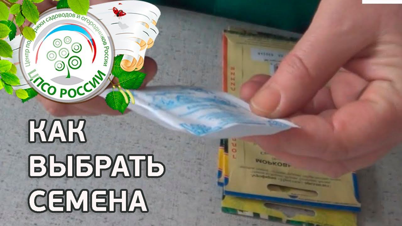 ВЫБОР СЕМЯН. Как выбрать семена помидор, перцев, огурца, зелени и др.