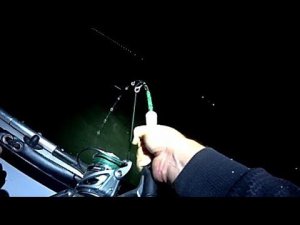 ШОК !!!! ЖОР МОНСТРОВ С РОСТ И ВЕС ЧЕЛОВЕКА !!!!! СТАЛО ПЛОХО ОТ ПЕРЕВОЛНЕНИЯ !!!! РЫБАЛКА НА СОМА!