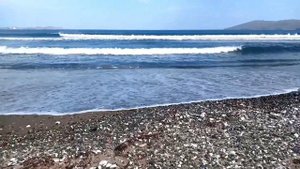 Коса Назимова.