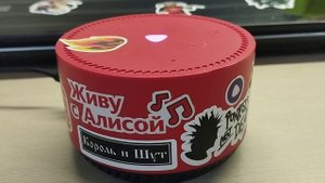 Моя колонка лайт Алиса