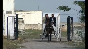 Евпаторийские кареты - изготовление, карета, свадьба