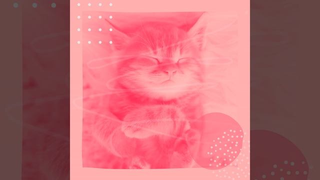 Звуки (Кошки) смотреть онлайн