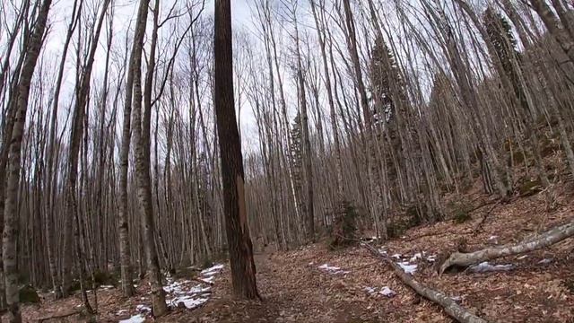 Хамышки / водопад на Кутанке / сырный и жертвенный камни смотреть онлайн