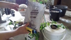 Бюджетная гидропоника своими руками. как мешать раствор?hydroponicsmade with your own hands