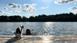 В воде на природе