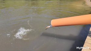 Запуск Карпа 900кг